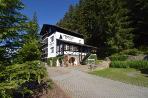 Pension St. Moritz, Zelezná Ruda